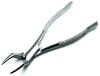 Picture of Tooth Extracting Forcep # 65
