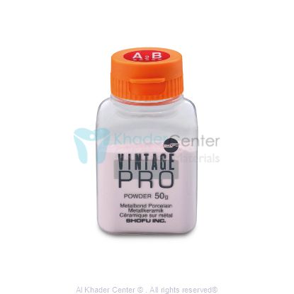 صورة Vintage PRO