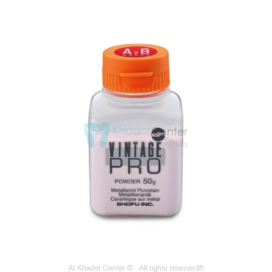 صورة Vintage PRO